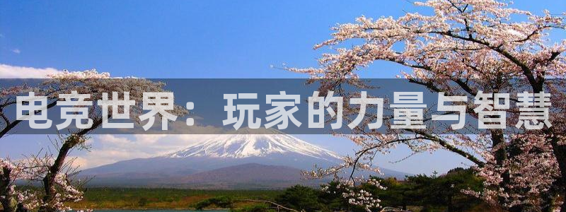 一竞技官网下载：电竞世界：玩家的力量与智慧