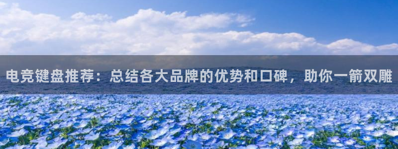 一竞技官网：电竞键盘推荐：总结各大品牌的优势和口碑，助你一箭双雕