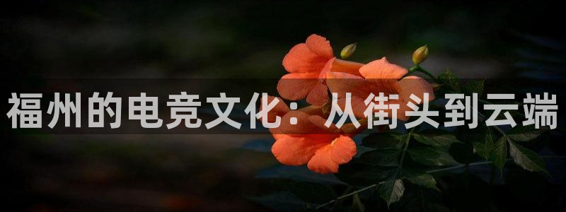一竞技网址：福州的电竞文化：从街头到云端