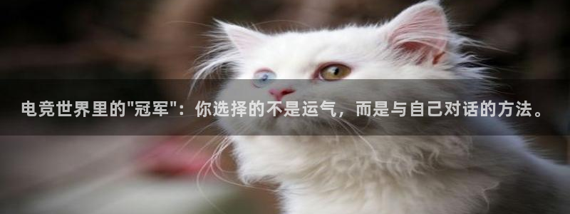 一竞技平台