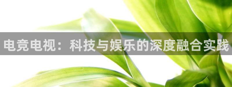 一竞技官网下载