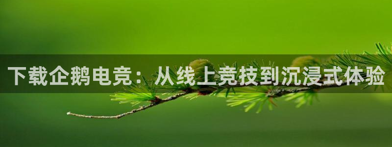 一竞技网址：下载企鹅电竞：从线上竞技到沉浸式体验
