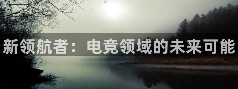 一竞技官网：新领航者：电竞领域的未来可能