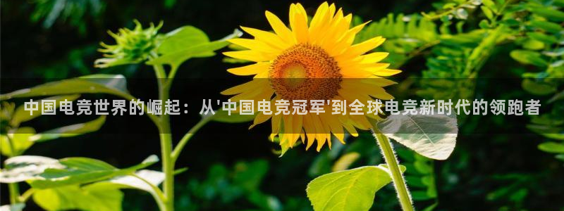 一竞技app：中国电竞世界的崛起：从\'中国电竞冠军\'到全球电竞新时代的领跑者