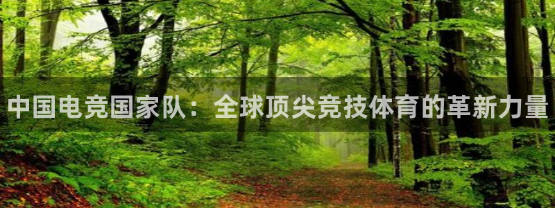 一竞技