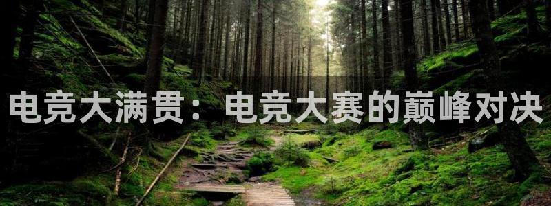 一竞技官网地址：电竞大满贯：电竞大赛的巅峰对决