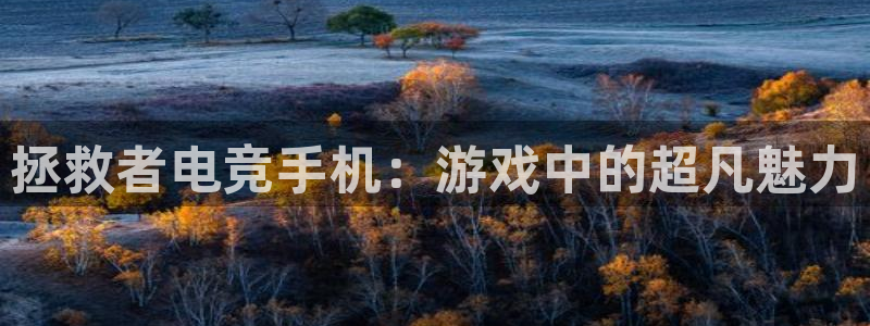 一竞技平台：拯救者电竞手机：游戏中的超凡魅力