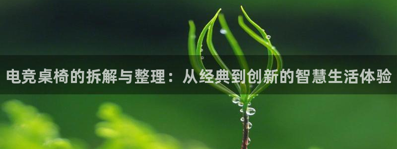 一竞技app下载