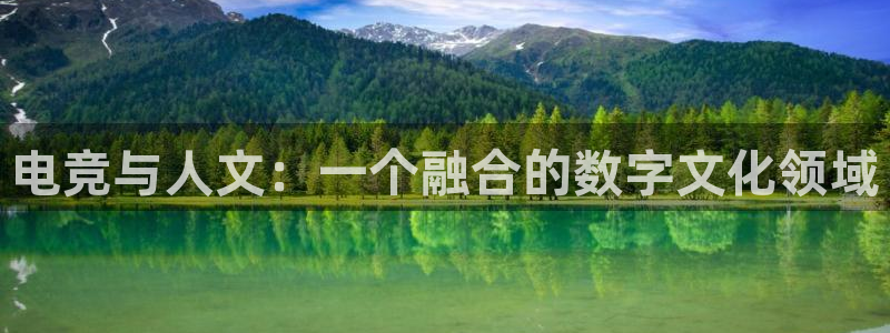 一竞技官网：电竞与人文：一个融合的数字文化领域