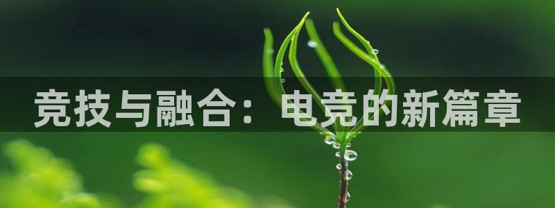 一竞技app下载安装