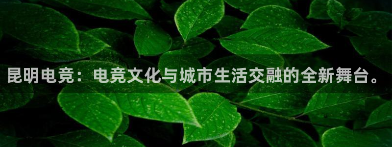 一竞技平台：昆明电竞：电竞文化与城市生活交融的全新舞台。