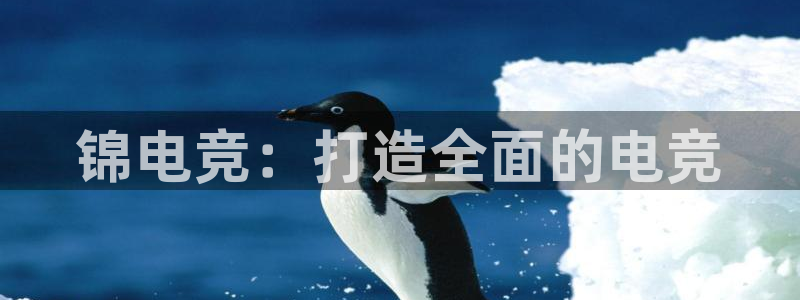 一竞技app：锦电竞：打造全面的电竞