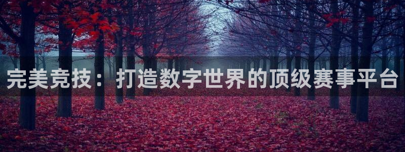 一竞技app下载：完美竞技：打造数字世界的顶级赛事平台