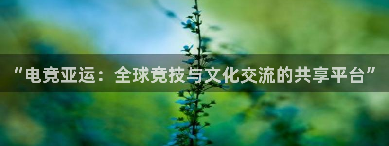 一竞技app下载安装：“电竞亚运：全球竞技与文化交流的共享平台”