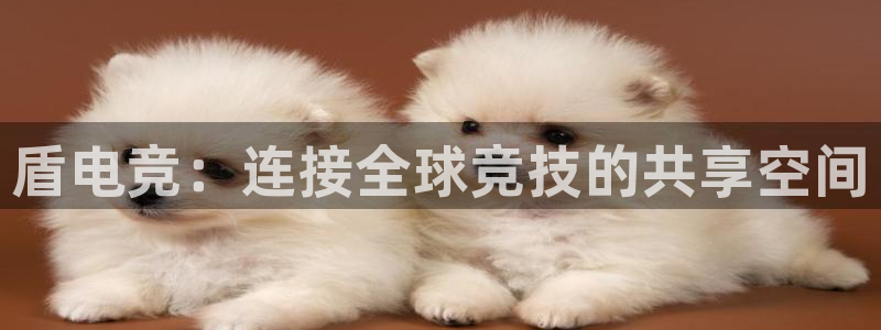 一竞技官网：盾电竞：连接全球竞技的共享空间