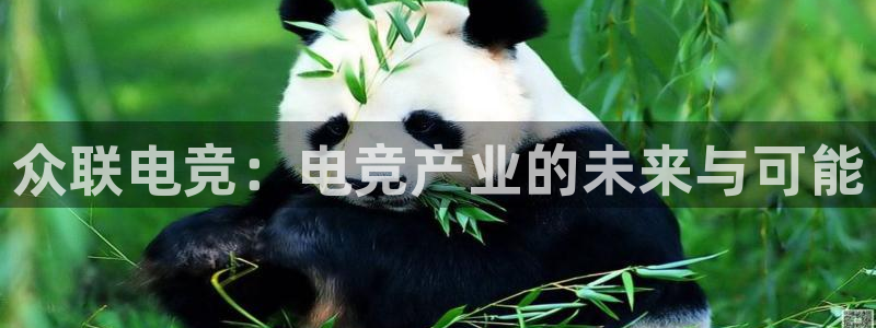 一竞技官网地址：众联电竞：电竞产业的未来与可能