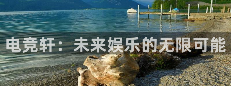 一竞技网址：电竞轩：未来娱乐的无限可能