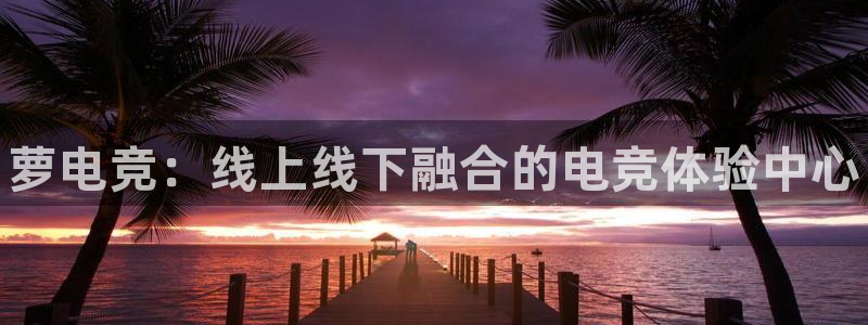 一竞技app下载：萝电竞：线上线下融合的电竞体验中心