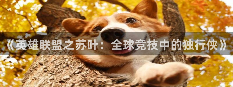 一竞技平台：《英雄联盟之苏叶：全球竞技中的独行侠》