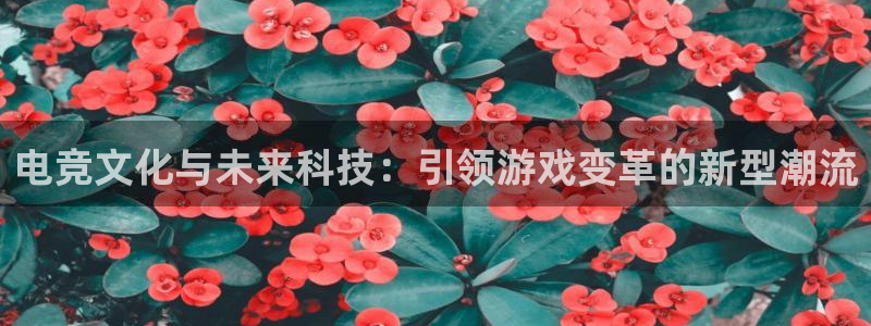 一竞技网址：电竞文化与未来科技：引领游戏变革的新型潮流