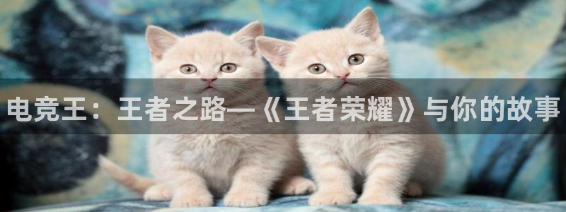 一竞技：电竞王：王者之路—《王者荣耀》与你的故事