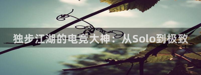 一竞技官网地址：独步江湖的电竞大神：从Solo到极致