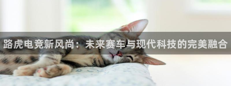 一竞技：路虎电竞新风尚：未来赛车与现代科技的完美融合