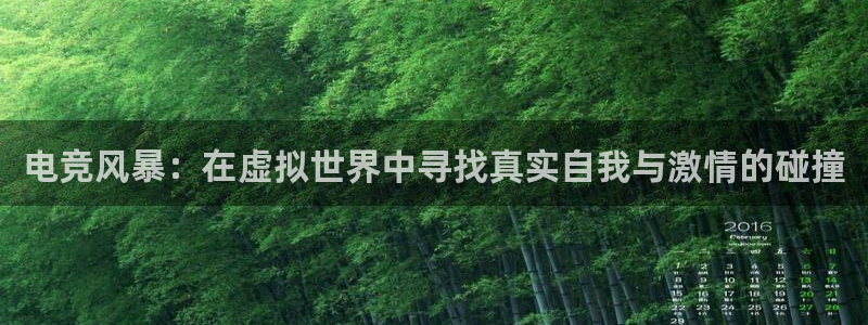 一竞技网址：电竞风暴：在虚拟世界中寻找真实自我与激情的碰撞