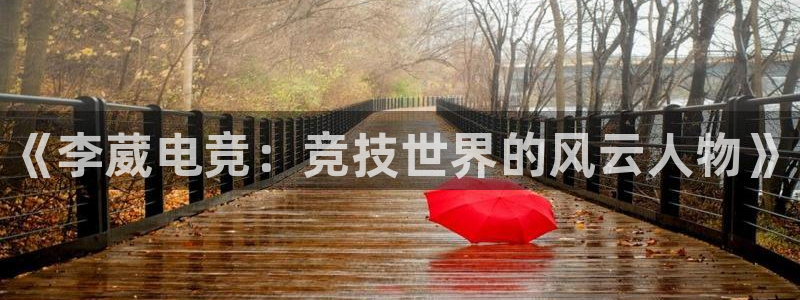 一竞技官网：《李葳电竞：竞技世界的风云人物》