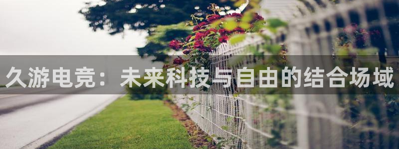 一竞技官网下载：久游电竞：未来科技与自由的结合场域