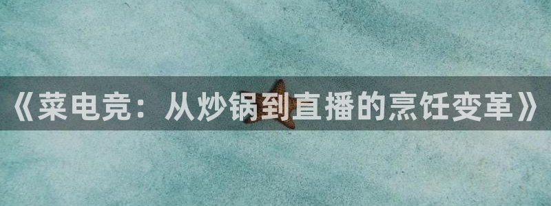 一竞技：《菜电竞：从炒锅到直播的烹饪变革》