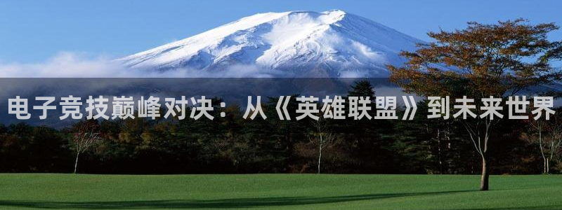 一竞技官网下载：电子竞技巅峰对决：从《英雄联盟》到未来世界
