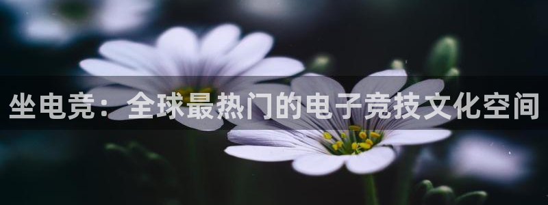 一竞技