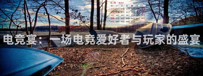 一竞技：电竞宴：一场电竞爱好者与玩家的盛宴
