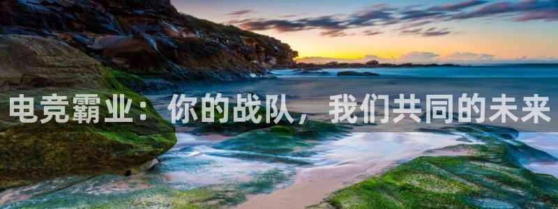 一竞技app：电竞霸业：你的战队，我们共同的未来
