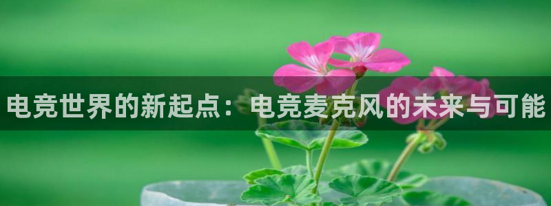 一竞技平台：电竞世界的新起点：电竞麦克风的未来与可能
