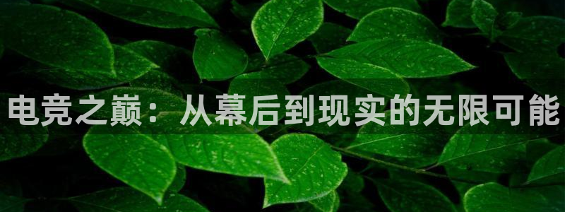 一竞技官网：电竞之巅：从幕后到现实的无限可能