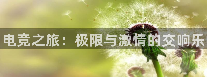 一竞技：电竞之旅：极限与激情的交响乐