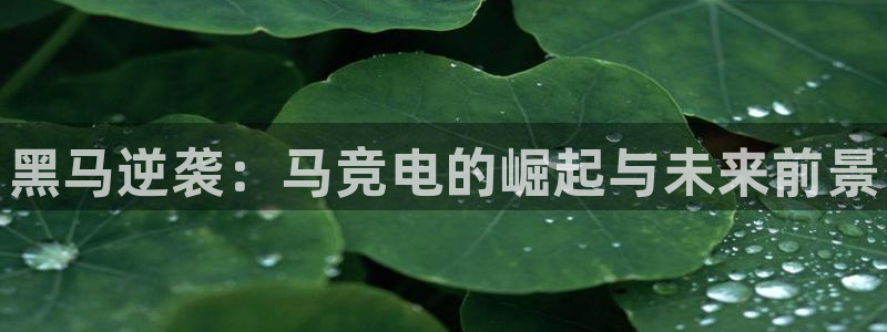 一竞技官网地址：黑马逆袭：马竞电的崛起与未来前景