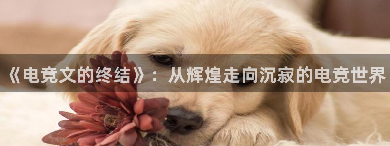 一竞技官网：《电竞文的终结》：从辉煌走向沉寂的电竞世界
