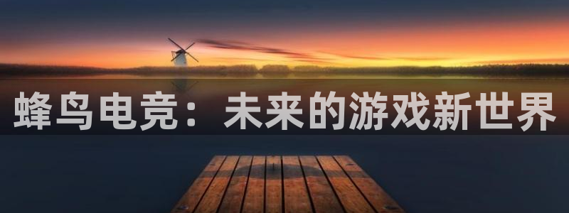 一竞技：蜂鸟电竞：未来的游戏新世界