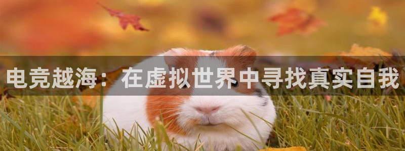 一竞技：电竞越海：在虚拟世界中寻找真实自我