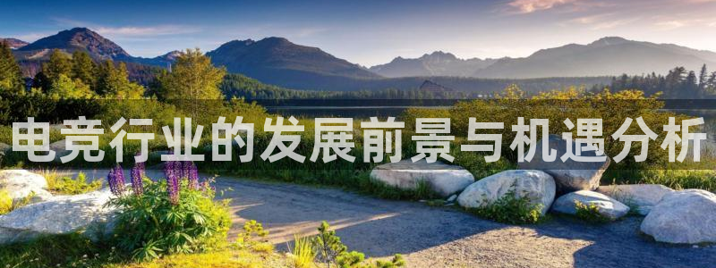 一竞技：电竞行业的发展前景与机遇分析