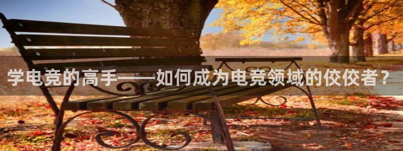 一竞技官网下载：学电竞的高手——如何成为电竞领域的佼佼者？