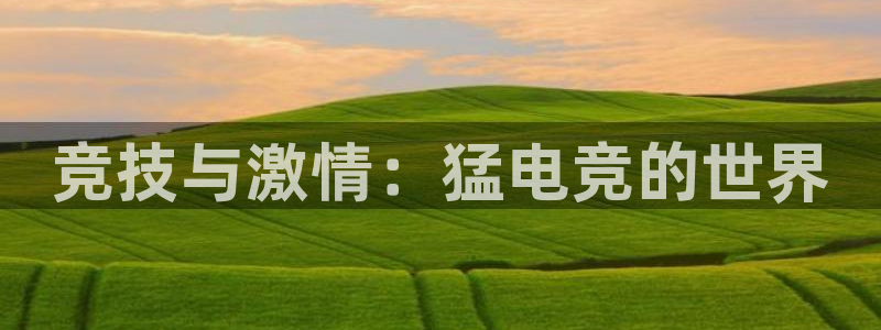 一竞技平台：竞技与激情：猛电竞的世界