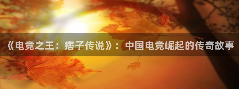 一竞技网址：《电竞之王：痞子传说》：中国电竞崛起的传奇故事