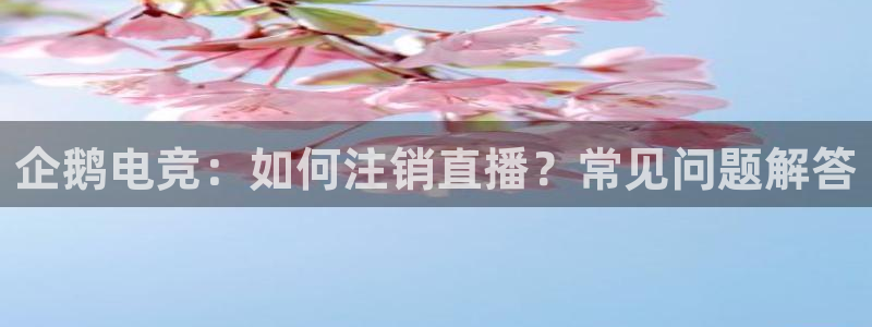一竞技app：企鹅电竞：如何注销直播？常见问题解答