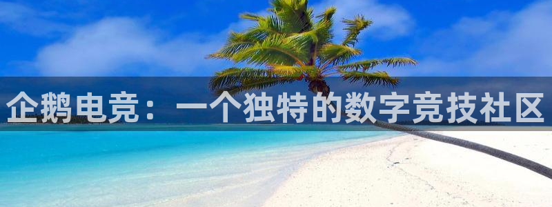 一竞技官网下载