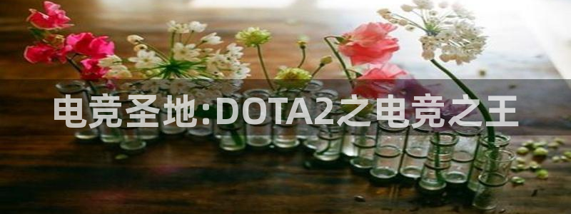 一竞技app下载：电竞圣地:DOTA2之电竞之王
