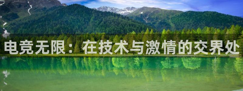 一竞技官网下载：电竞无限：在技术与激情的交界处